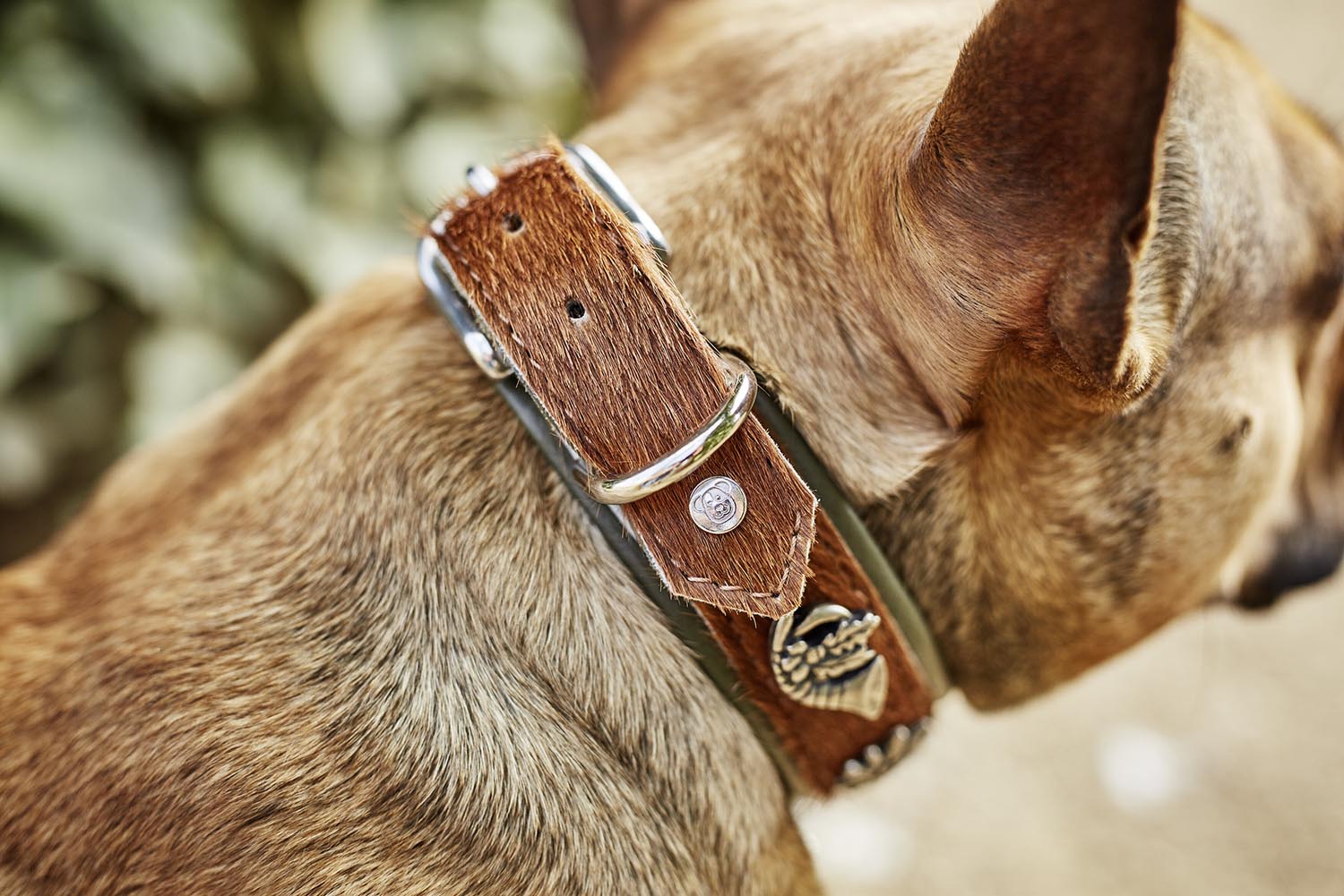 Erleben Sie das LABONI Halsband Bavaria in braun-grün L: Robust, elegant und ideal für jeden Hund. Perfekte Passform und Komfort für aktive Abenteuer!