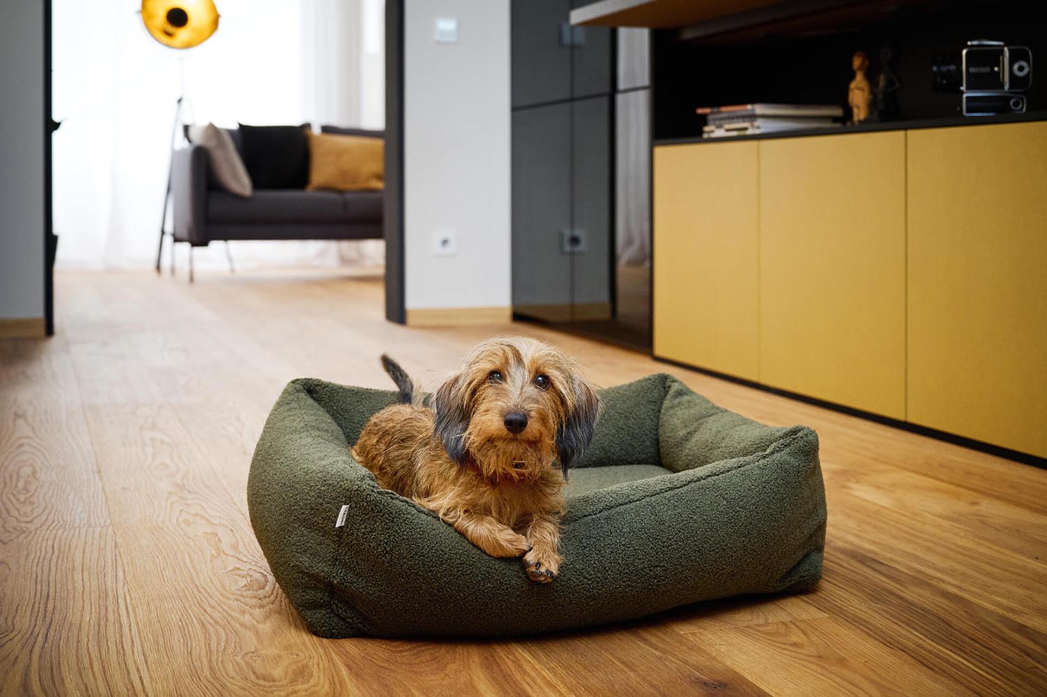 Das LABONI Hundebett Classic Teddy Creme M bietet optimalen Komfort und Unterstützung für Ihren Hund, ideal für gemütliche Rückzugsorte.