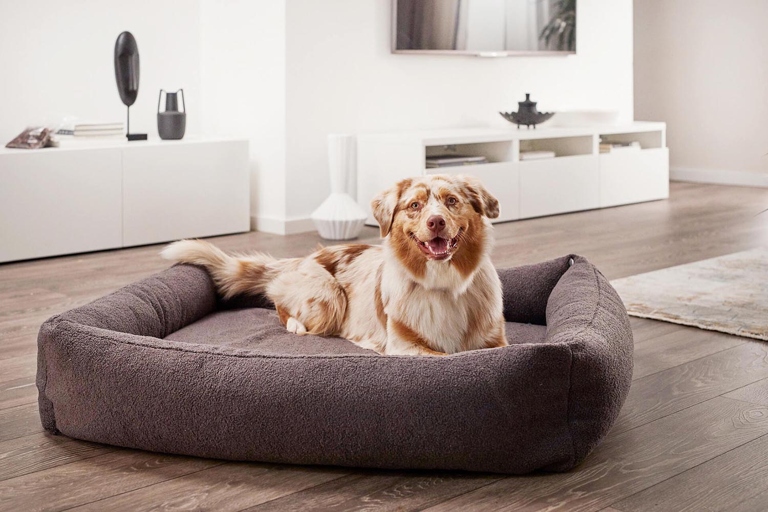 Gönnen Sie Ihrem kleinen Hund das LABONI Hundebett Classic Teddy Creme S – ein luxuriöses, kuscheliges Schlafparadies aus hochwertigem Teddy-Stoff.