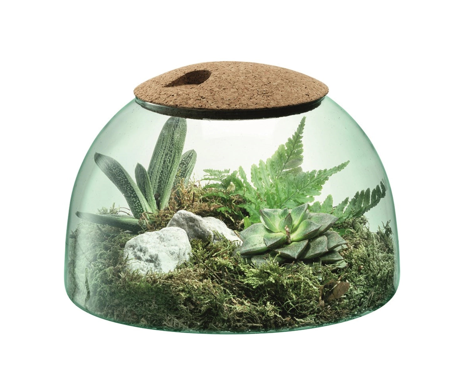 Stilvolle, geschlossene Gartenvase Canopy von LSA, 16,5 cm hoch, aus nachhaltigem Recyclingmaterial, ideal für dekorative Pflanzenpräsentationen.