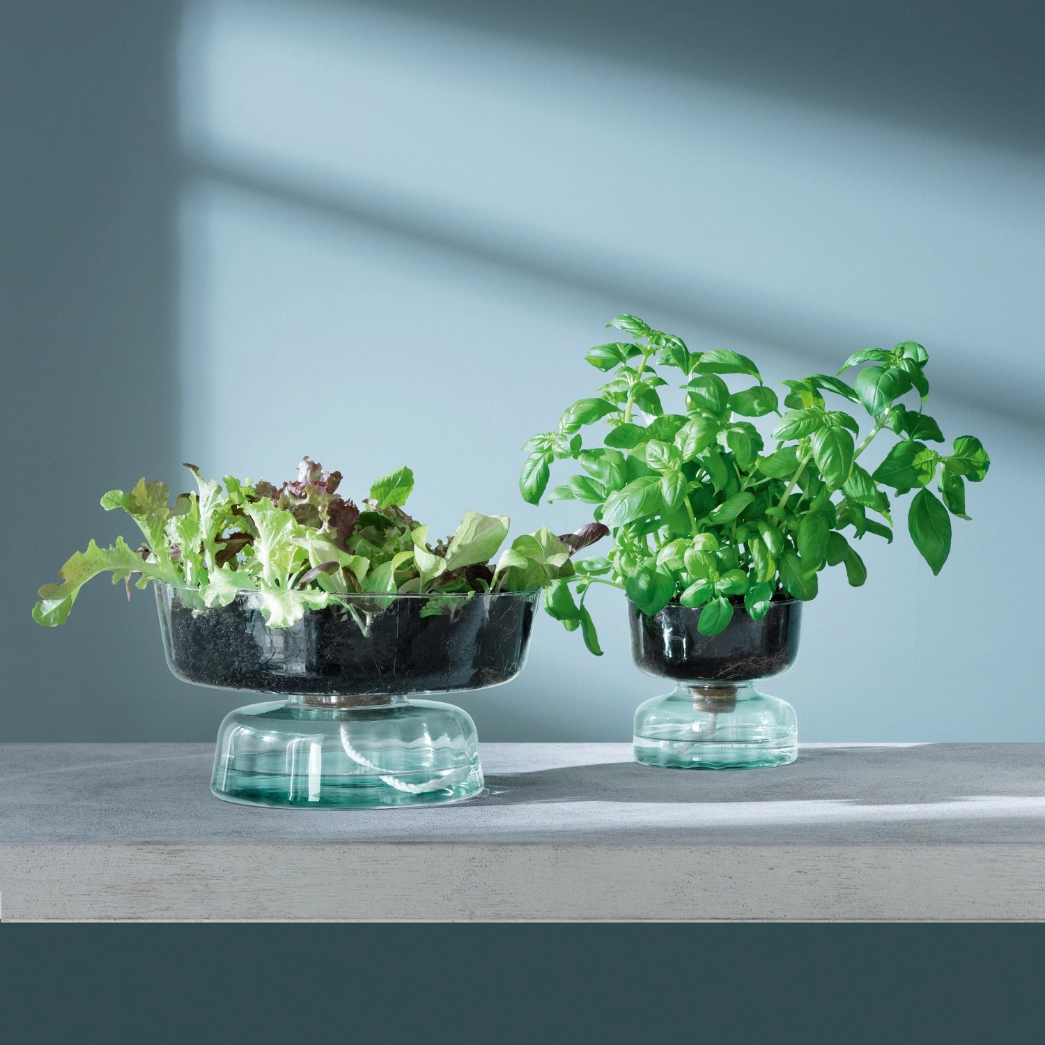 Eleganter, 13 cm hoher Canopy Topf von LSA, aus recyceltem Material, ideal für umweltbewusste Pflanzenliebhaber und stilvolle Raumgestaltung.