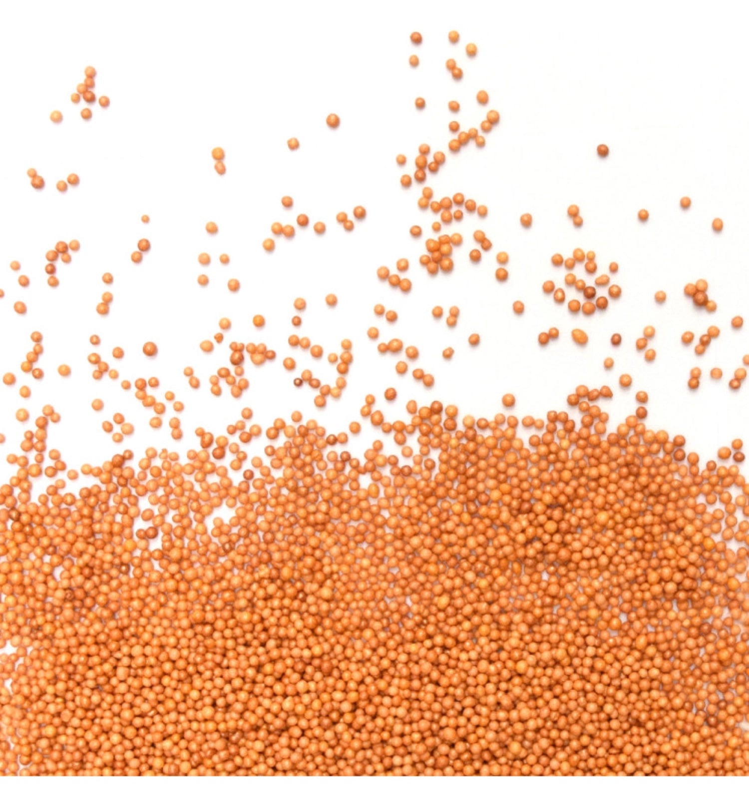 Goldene Mini-Zucker-Kugeln von Scrap Cooking, 80g, perfekt für die Dekoration von Kuchen und Desserts, verleihen jedem Gebäck einen festlichen Glanz.