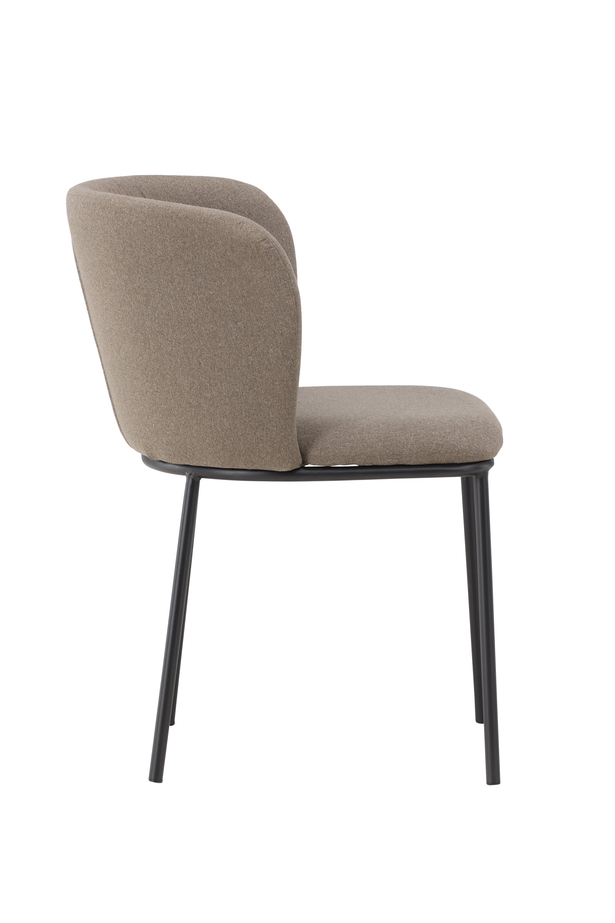 Moderner Edina Esszimmerstuhl von Venture Home, perfekt für zeitgemäße Essbereiche, bietet hohen Sitzkomfort und ein ansprechendes, elegantes Design.