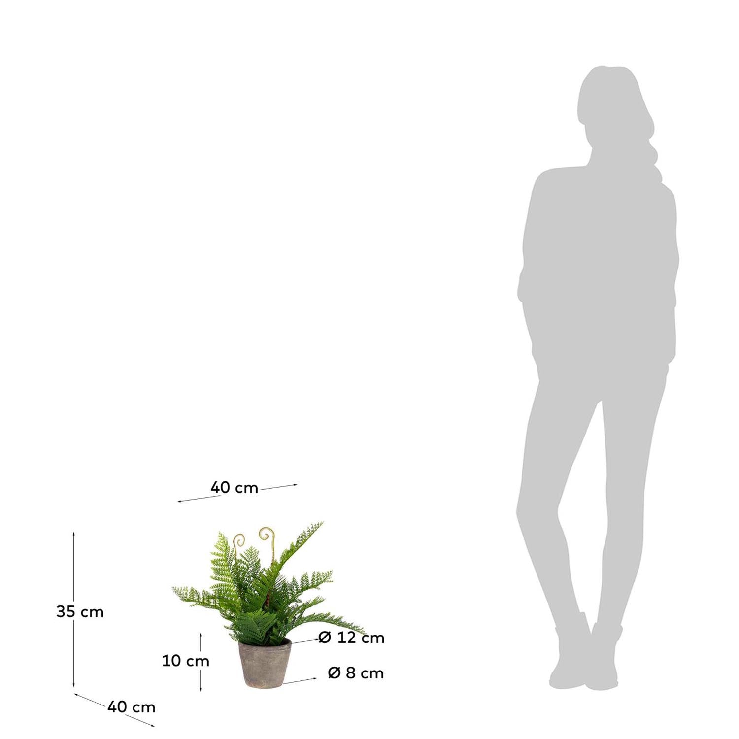 Entdecke die Filicopsida Kunstpflanze von Kave Home – eine pflegeleichte, stilvolle Deko für dein Zuhause, die jedem Raum Leben verleiht.