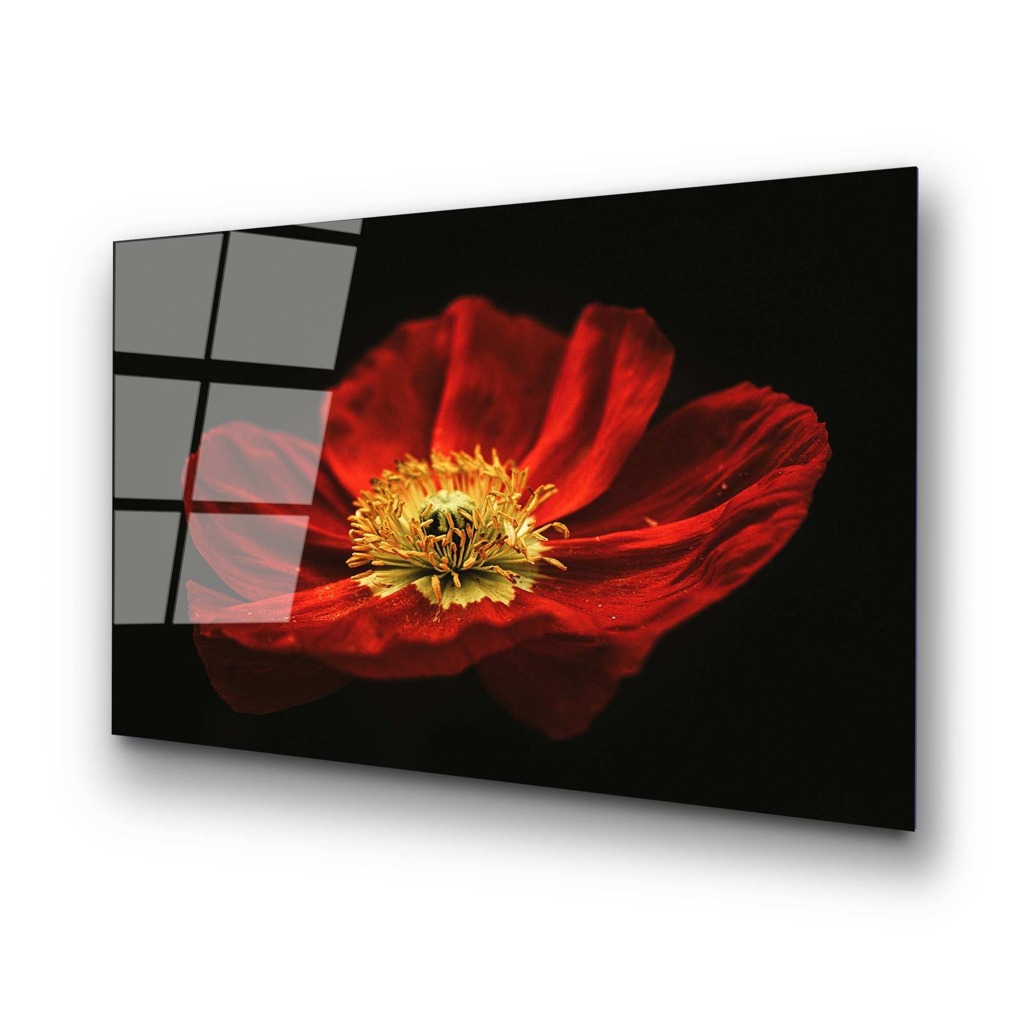 Erleben Sie die lebendige Farbvielfalt des UV-Bildes von Wallity. Dieses exquisite Kunstwerk aus gehärtetem Glas bringt Eleganz und Stil in Ihr Zuhause.
