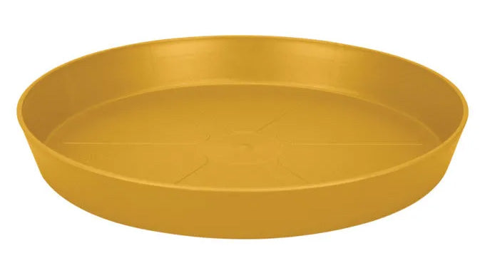 Stilvolle, nachhaltige Blumentopf Untersetzer aus umweltfreundlichen Materialien, perfekt für jeden Einrichtungsstil und zum Schutz deiner Möbel.