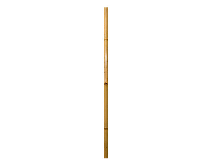 WINDHAGER Bambus-Rohr 2 m ø 6 cm natur in  präsentiert im Onlineshop von KAQTU Design AG. Gartenutensilien ist von WINDHAGER