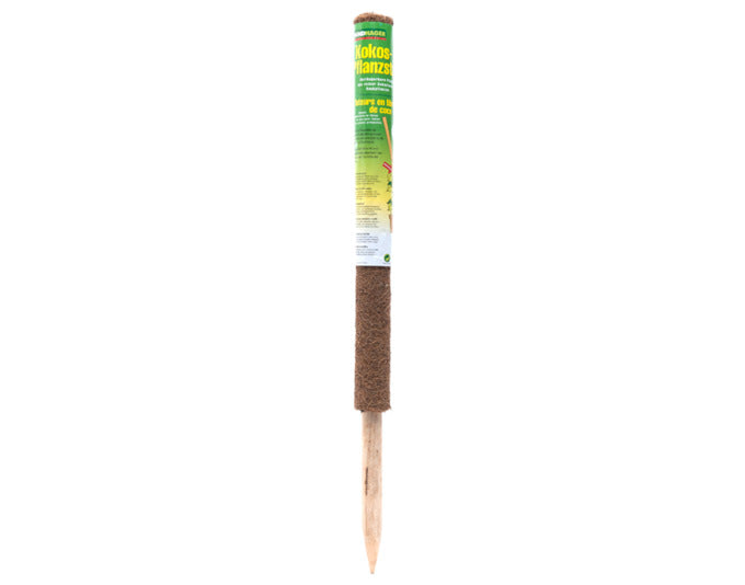WINDHAGER Pflanzenstab Kokos 80 cm in  präsentiert im Onlineshop von KAQTU Design AG. Gartenutensilien ist von WINDHAGER