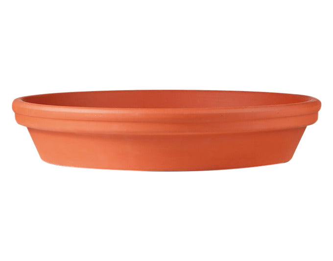 Eleganter, transparenter Untersetzer aus glasiertem Terracotta von SPANG, Ø 17,8 cm, perfekt für Blumentöpfe, schützt Möbel und setzt Pflanzen geschmackvoll in Szene.