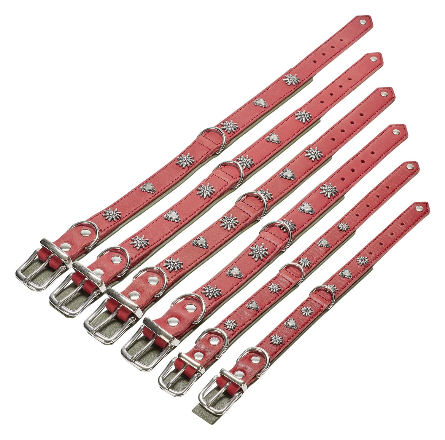 Entdecken Sie das LABONI Halsband Edelweiss rot-grün M – ein elegantes, langlebiges Halsband für mittelgroße Hunde, das Komfort und Sicherheit vereint.