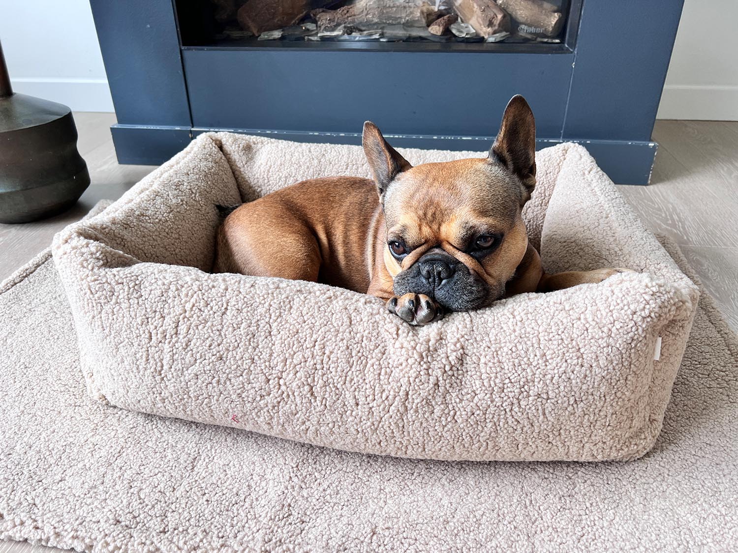Das LABONI Hundebett Classic Teddy Creme M vereint kuscheliges Teddyfell mit optimaler Unterstützung für Gelenke. Pflegeleicht und stilvoll!