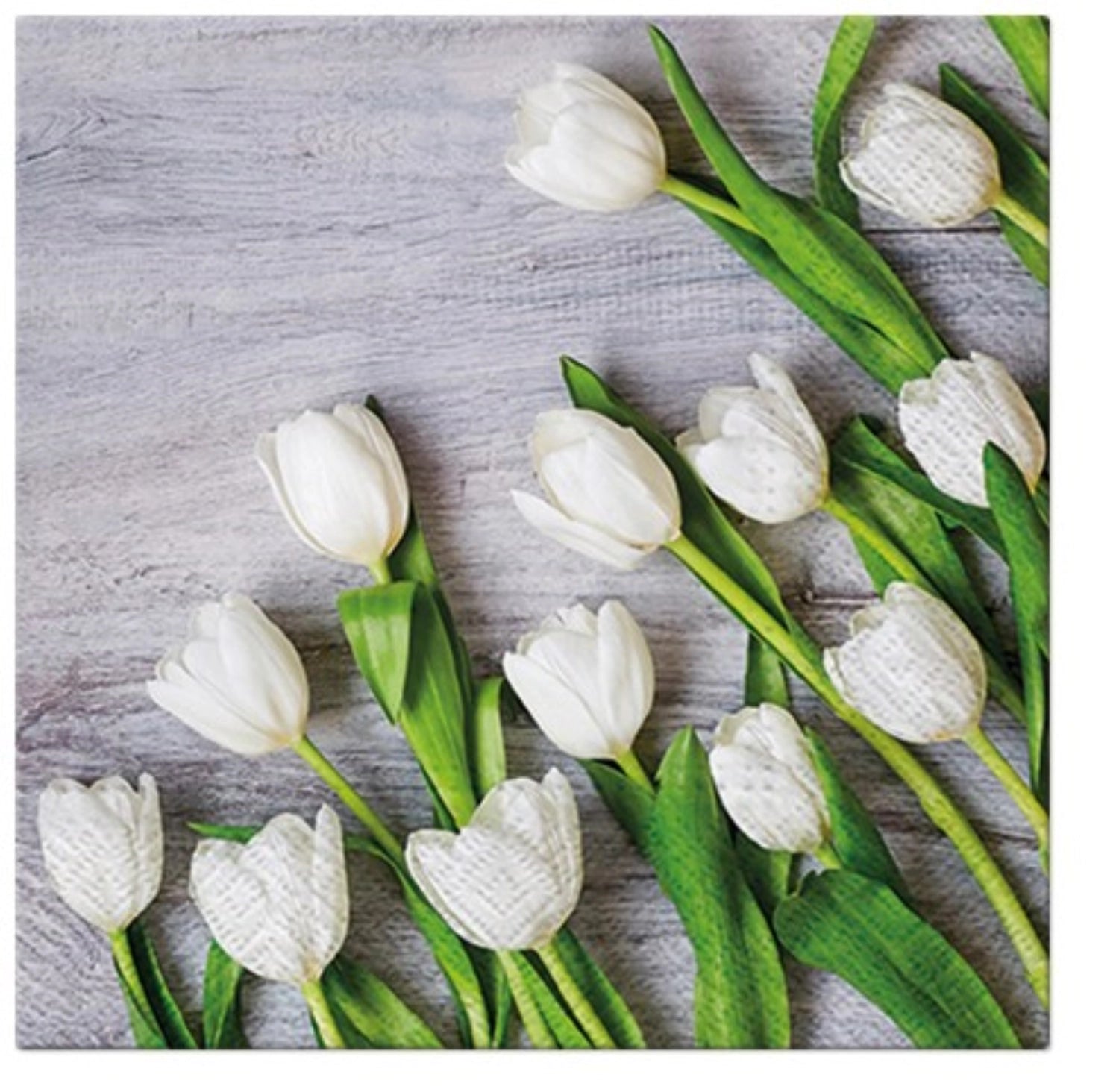 Servietten Lunch 20x Tulpen weiss, 33x33cm in Grün präsentiert im Onlineshop von KAQTU Design AG. Servietten ist von PAW