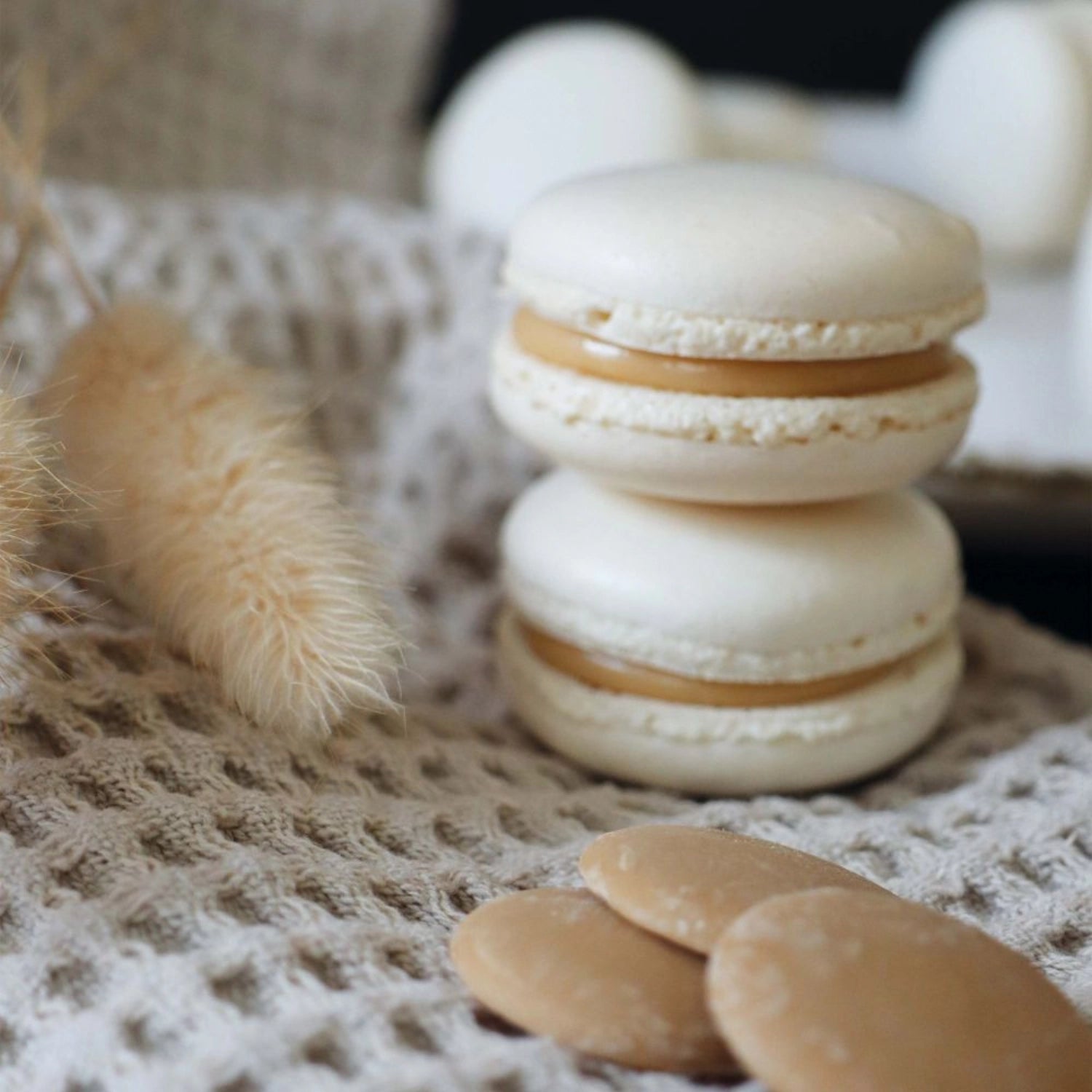 Genießen Sie die köstlichen Caramel Schoko Drops von Scrap Cooking, perfekt zum Verfeinern von Desserts oder als süßer Snack für zwischendurch.