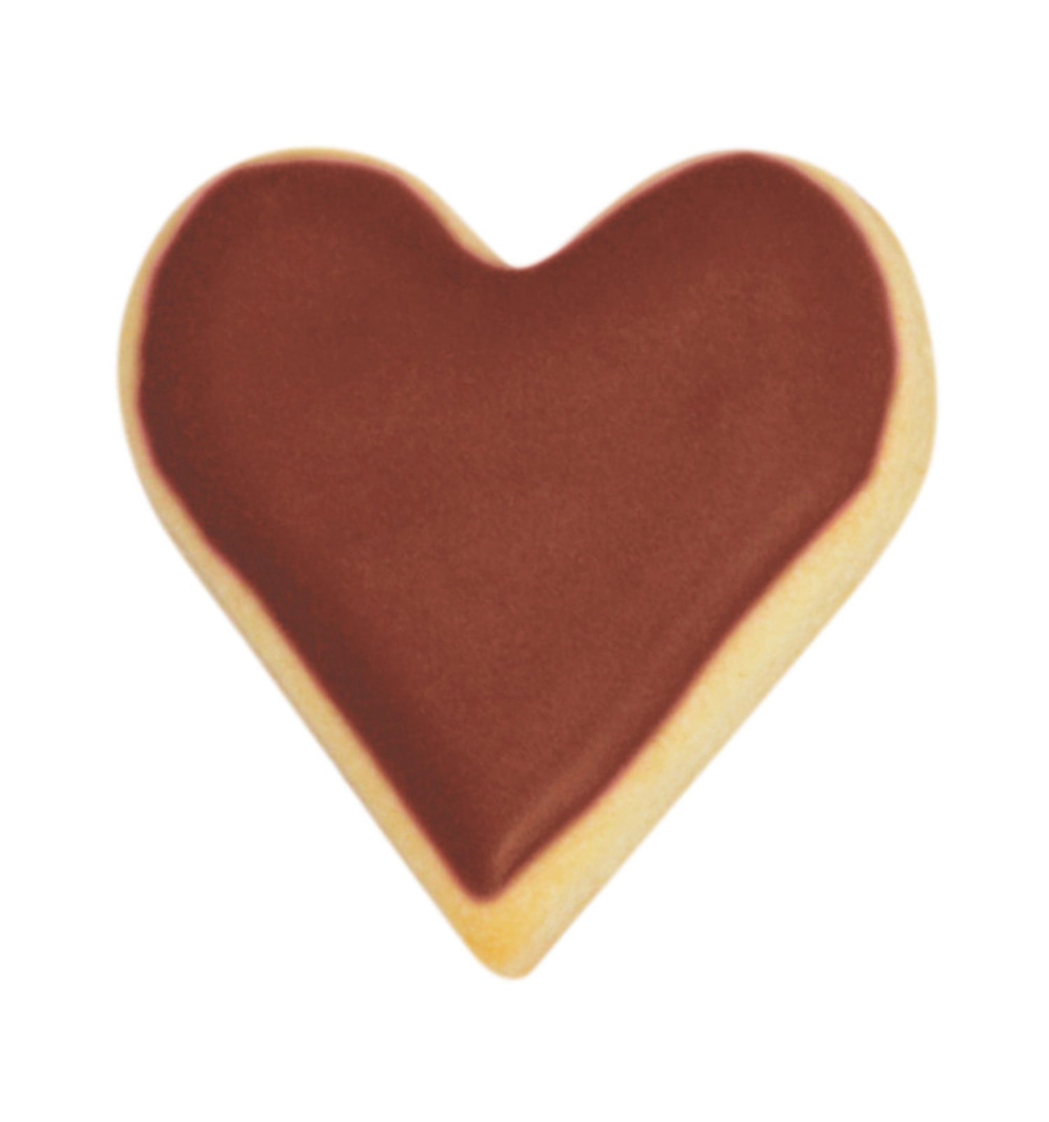 Natürliches braunes Lebensmittelfarben-Pulver von Scrap Cooking, 10g, ideal zum Färben von Speisen und Backwaren, vegan und ohne künstliche Zusätze.
