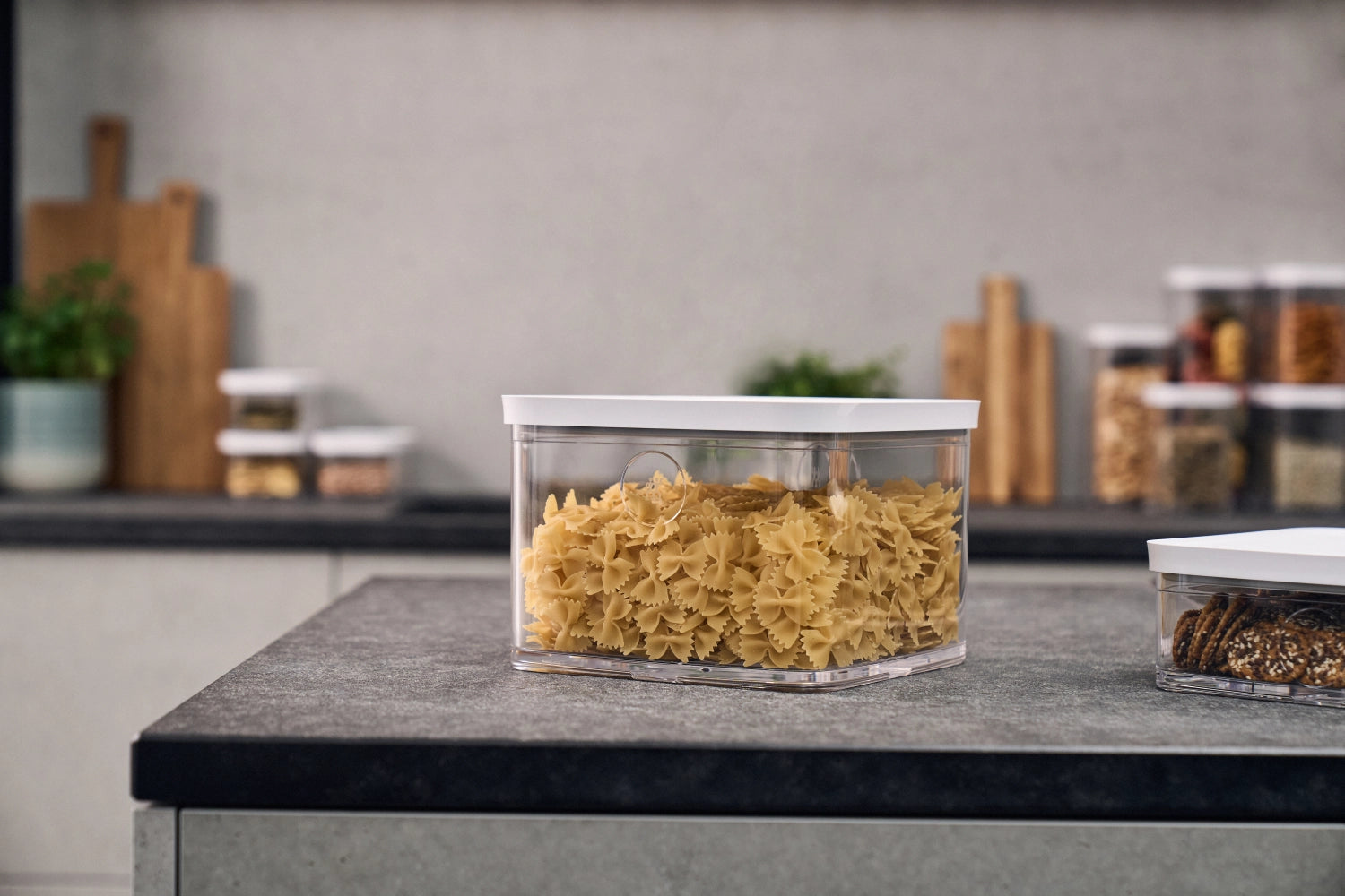 Transparente Vakuumbox Fresh & Save CUBE 2l von Zwilling, ideal zur Aufbewahrung von Lebensmitteln und zur Reduzierung von Abfall.
