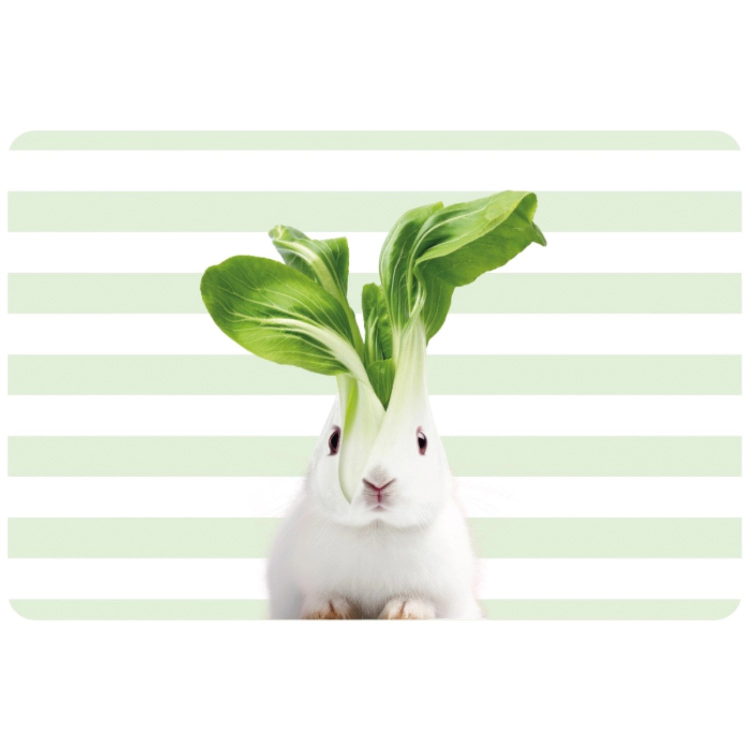 Tischset beidseitig bedruckt Hase PVC in Mehrfarbig präsentiert im Onlineshop von KAQTU Design AG. Tischset ist von Easy Life