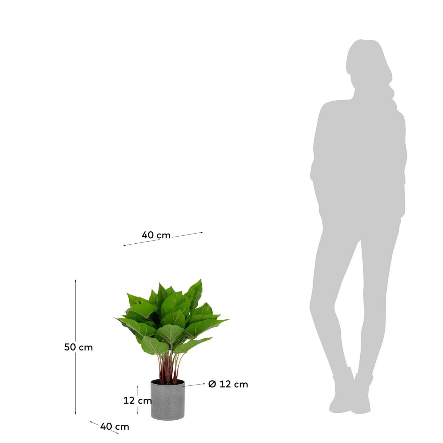Kunstpflanze Anthurium von Kave Home, 50 cm hoch, bringt frisches Grün und stilvolle Akzente in jeden Raum, perfekt für Allergiker und pflegeleicht.