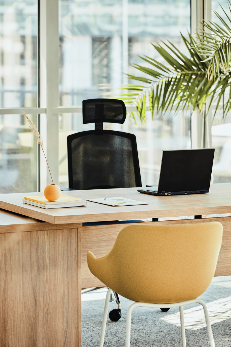 Mito MIT3KDL - Chefschreibtisch in Bernsteineiche präsentiert im Onlineshop von KAQTU Design AG. Schreibtisch ist von Mdd