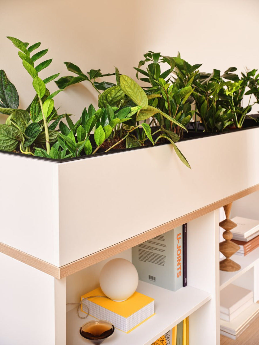 Standard MEA2504 - Regal in Eiche Natur präsentiert im Onlineshop von KAQTU Design AG. Standregal ist von Mdd
